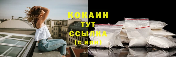 прущий лед Горно-Алтайск