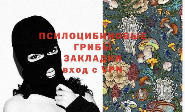 альфа пвп Горнозаводск